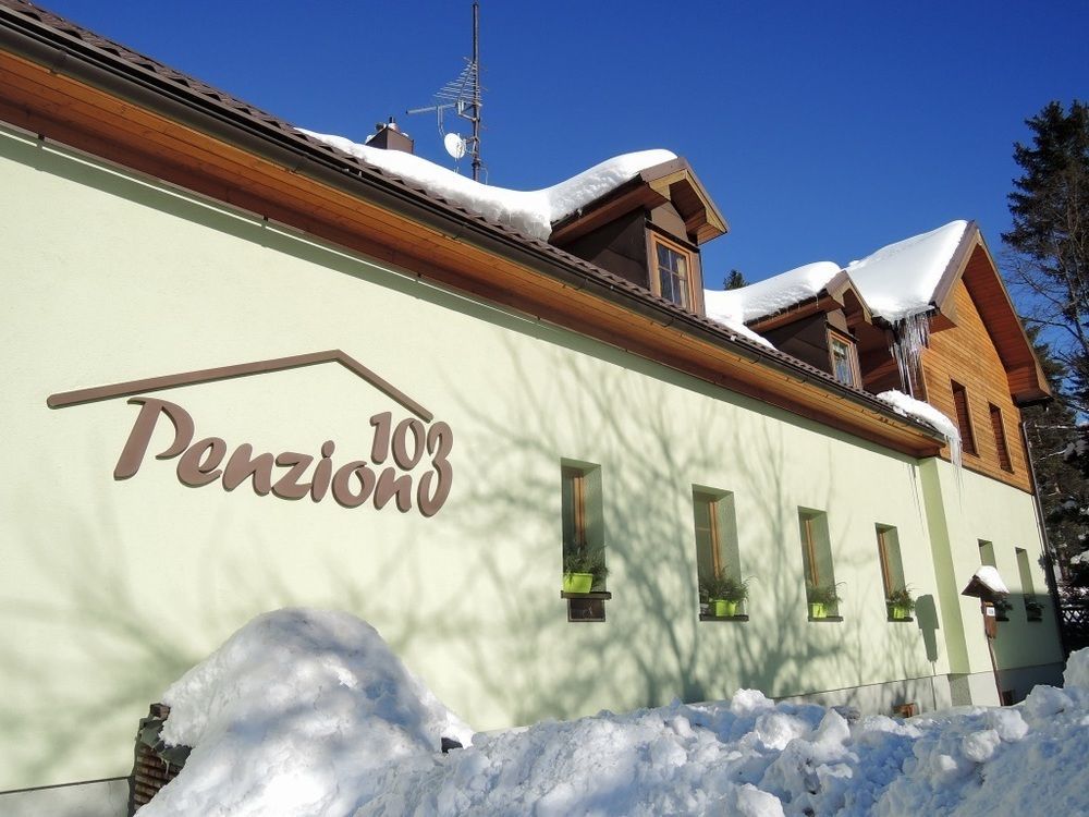 Penzion 103 Železná Ruda Екстериор снимка
